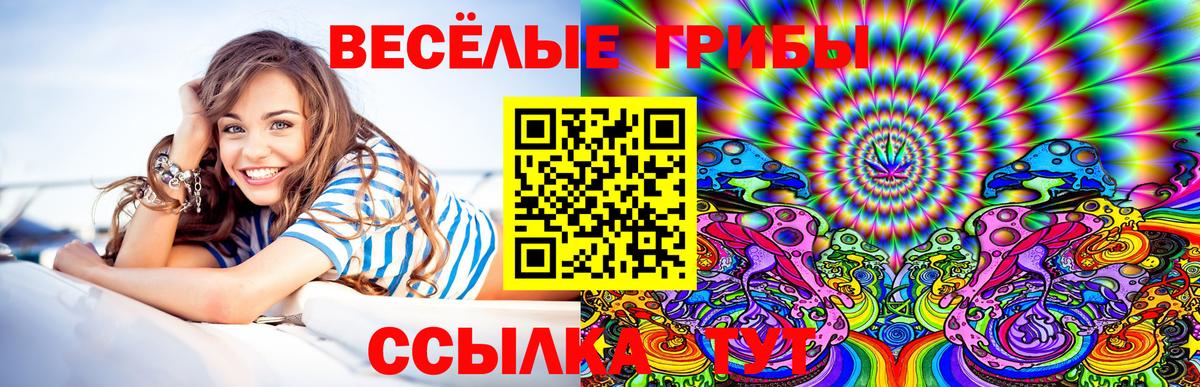 Псилоцибиновые грибы мухоморы  Псилоцибиновые грибы Cubensis  Вход с VPN  Ефремов 